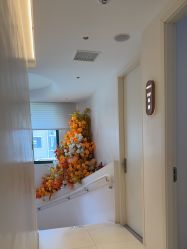 点击看大图 -WENDY·温迪皮肤管理