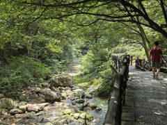 -雁荡山大龙湫景区