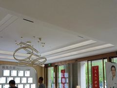 -合肥美奥口腔·种植矫正中心(政务院)