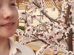 -兴芮温泉度假区