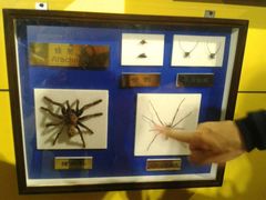 -上海昆虫博物馆