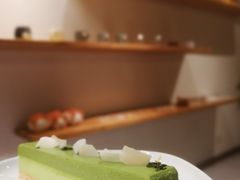 -柴务处·柴犬主题狗咖