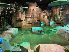 -zoonana室内动物园(东方福来德店)