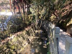 -十八棵（老龙井）御茶园(老龙井店)