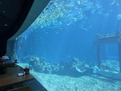 -海棠湾洲际-涛·海底餐厅·美人鱼·自助餐·海底隧道