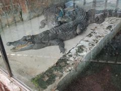 -昆明动物园