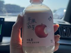 -武清南湖绿博园