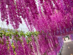 -千龙湖生态旅游度假区