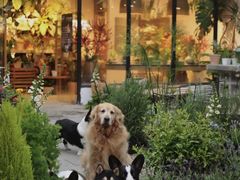 -自由生长植物工作室(深港花卉中心店)