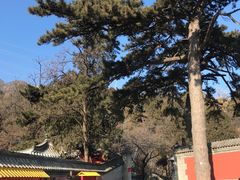 -阳台山自然风景区