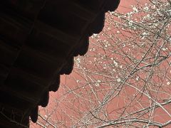 -钱王祠