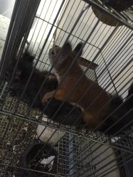 -周忆刺青原创设计定制