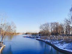 -大兴滨河森林公园