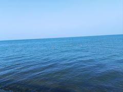 -悦海公园