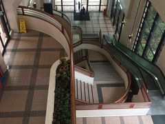 -香港大学