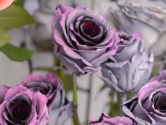 -盛邦家居建材广场