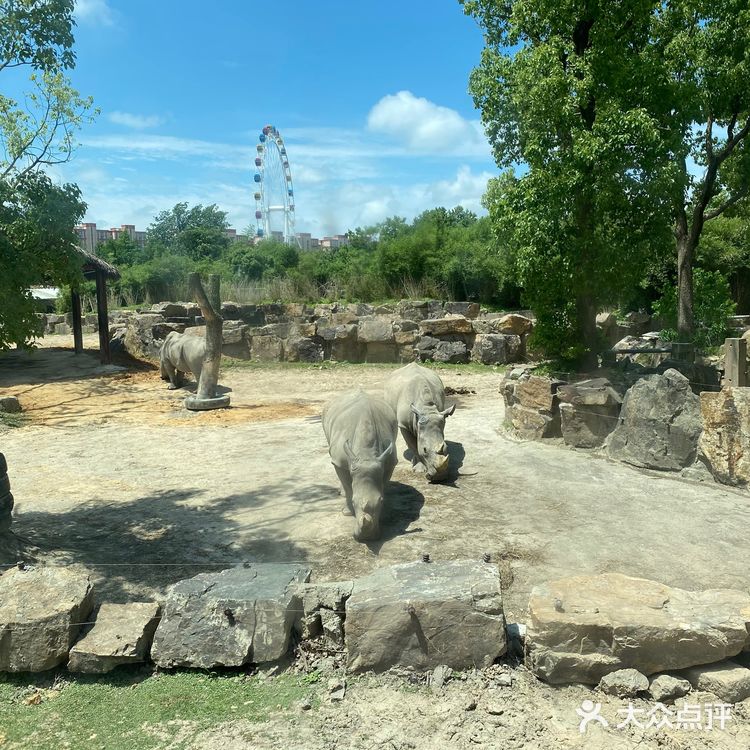 儿童打卡胜地-上海野生动物园