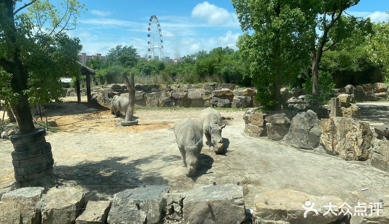 儿童打卡胜地-上海野生动物园
