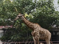 -大连森林动物园