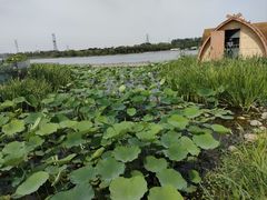 -南通濠河风景名胜区