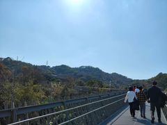 -福道