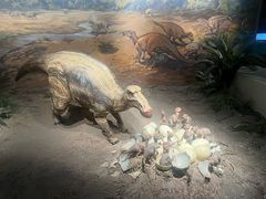 -自贡恐龙博物馆