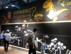 -卡森乐园