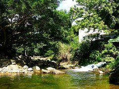 -广州市石门国家森林公园