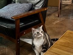 -咖法森林·咖啡  酒吧(天河店)