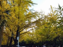 -辽宁大学(崇山校区)