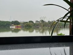 -海珠湖公园