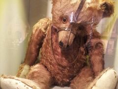 -济州岛泰迪熊博物馆