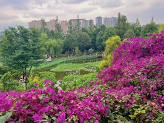 -成都市文化公园