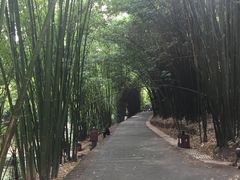 -四洞沟景区