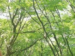 -北京密云天门山风景区