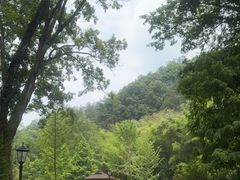 -素山寺森林公园