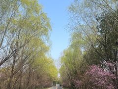 -同里国家湿地公园