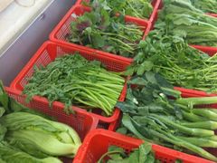 -湛江渔港·大排档(乐园路总店)