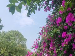 -成都南湖公园