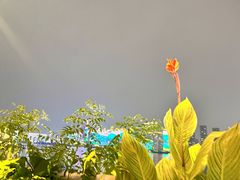 -不二民谣音乐餐酒吧(长沙店)