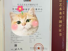 -星舞宝贝少儿舞蹈艺术(天山西路店)