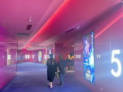 -SFC上影影城(港汇永华IMAX激光店)