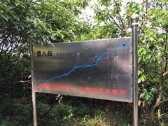 景点-阳台山森林公园