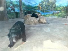 -鄂尔多斯野生动物园