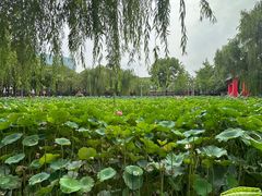 -四川大学(望江校区)