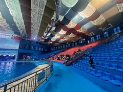 -多彩贵州城极地海洋世界