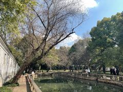 -西园戒幢律寺