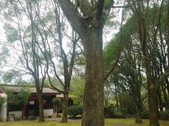 -九曲溪竹筏码头