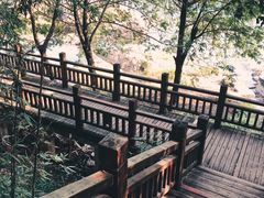 -潜山国家森林公园