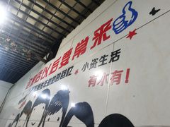 -老杨特色大串烧烤(莲池中心街店)